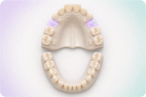 Visualización editorial de un odontograma de dentición mixta